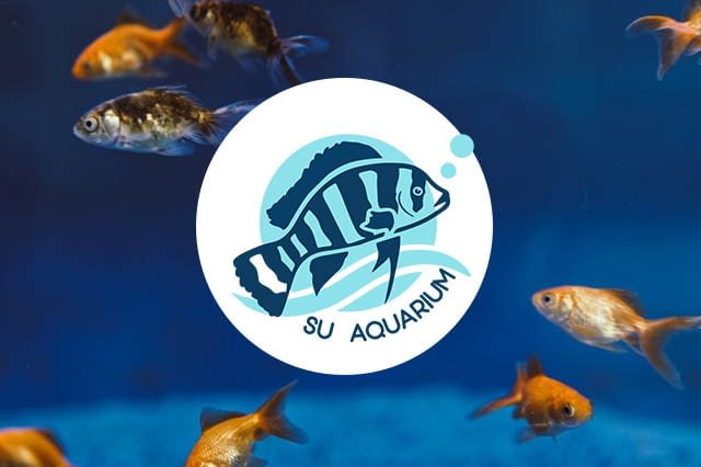 logo design malaysia portfolio 1